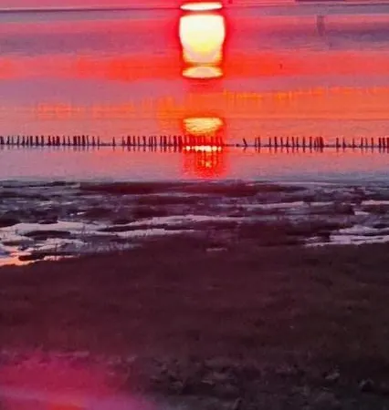 Modernisierte - Spitze, Gegenueber Mutter-kind-klinik Friedrichskoog